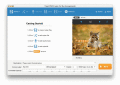 Screenshot of Tipard DVD Creator for Mac 3.2.36