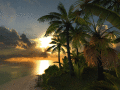 A nice tropical getaway on your computer.