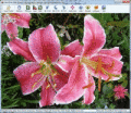 Screenshot of Free Photo Slide Show 2.21.1.28