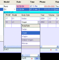 DataGridView Columns .NET assembly