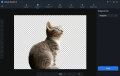 Professional AI-assisted photo editing tool