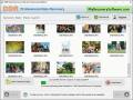 DDR Recovery software rescue all lost picture