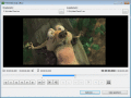 Screenshot of Free Video Dub 1.8