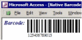 MS Access Barcode Integration Kit.