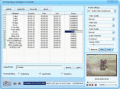 convert DPG to AVI/MPEG/DivX/DPG-1/DPG-2/DPG3